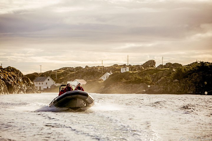 RIB-boottocht langs de kust, eilanden en wildlife van Haugesund, foto 6 | wizardtrip