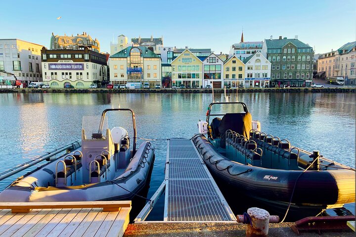 RIB-boottocht langs de kust, eilanden en wildlife van Haugesund, foto 8 | wizardtrip