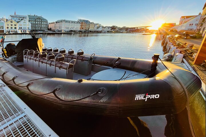 RIB-boottocht langs de kust, eilanden en wildlife van Haugesund, foto 9 | wizardtrip