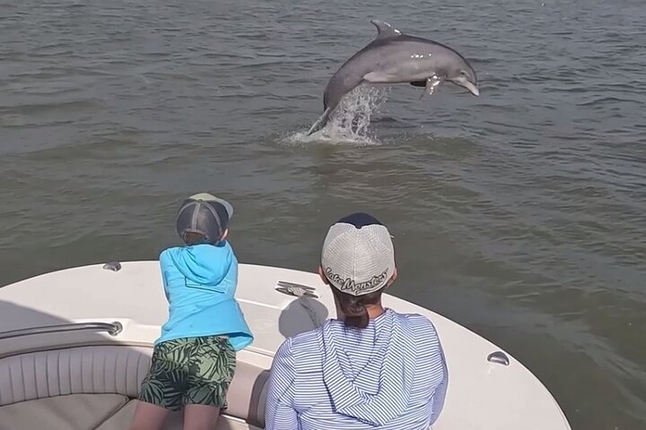 90 minuten privé dolfijnentour op Hilton Head Island | wizardtrip