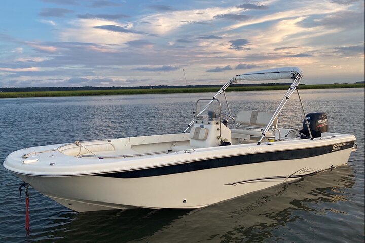 Private Delfinbeobachtungstour auf Hilton Head Island, USA, mit Schwerpunkt auf Meeresleben und Küstenlandschaft, Foto 12 | wizardtrip