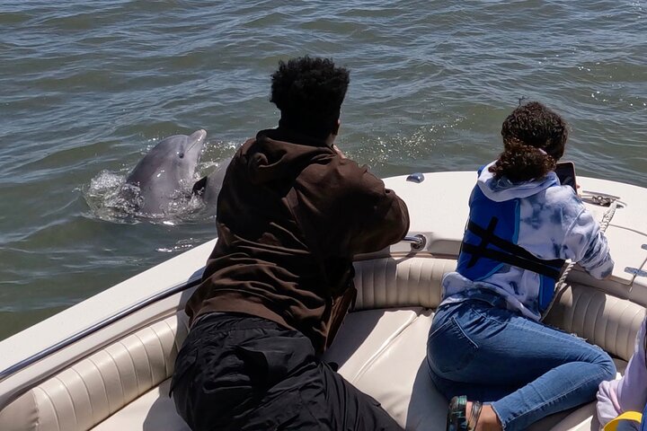 Private Delfinbeobachtungstour auf Hilton Head Island, USA, mit Schwerpunkt auf Meeresleben und Küstenlandschaft, Foto 13 | wizardtrip