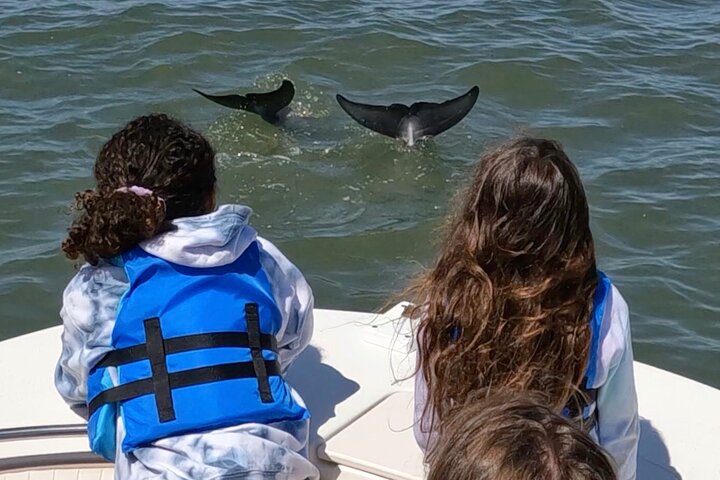 Private Delfinbeobachtungstour auf Hilton Head Island, USA, mit Schwerpunkt auf Meeresleben und Küstenlandschaft, Foto 14 | wizardtrip
