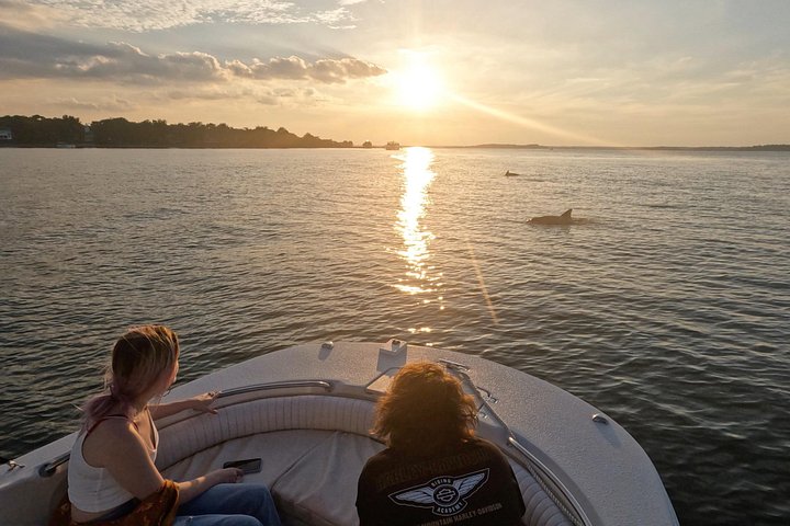 Private Delfinbeobachtungstour auf Hilton Head Island, USA, mit Schwerpunkt auf Meeresleben und Küstenlandschaft, Foto 16 | wizardtrip