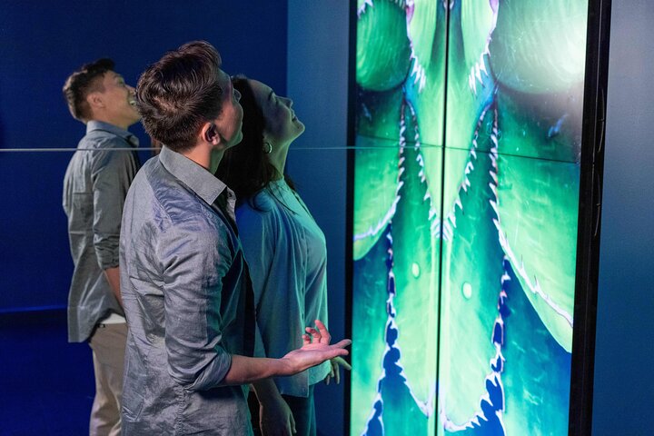 Immersive flight ride experience over global destinations in Las Vegas, photo 9 | wizardtrip
