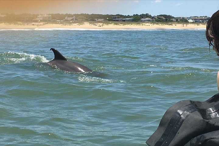 Faites du kayak aux côtés de dauphins à Virginia Beach lors d'un éco-tour guidé, photo 7 | wizardtrip