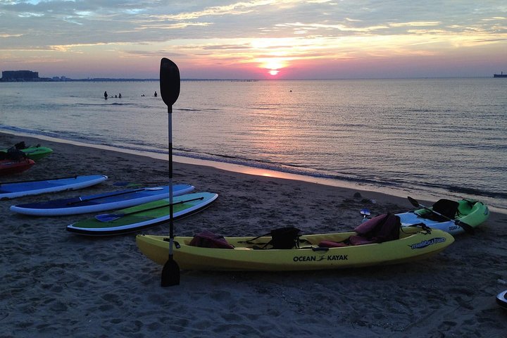 Sunset Dolphin Kayak Tours | wizardtrip