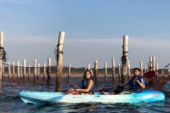 Tour in kayak al tramonto a Virginia Beach con delfini e punti di riferimento, foto 15 | wizardtrip