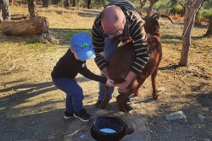 Off-road avontuur op Kreta, verkenning van de grot van Zeus, traditionele dorpen en prachtige landschappen, foto 10 | wizardtrip