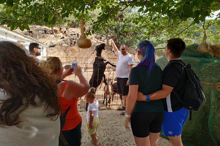 Aventure en jeep safari en Crète avec cours de cuisine, poterie et vues panoramiques sur les montagnes, photo 12 | wizardtrip