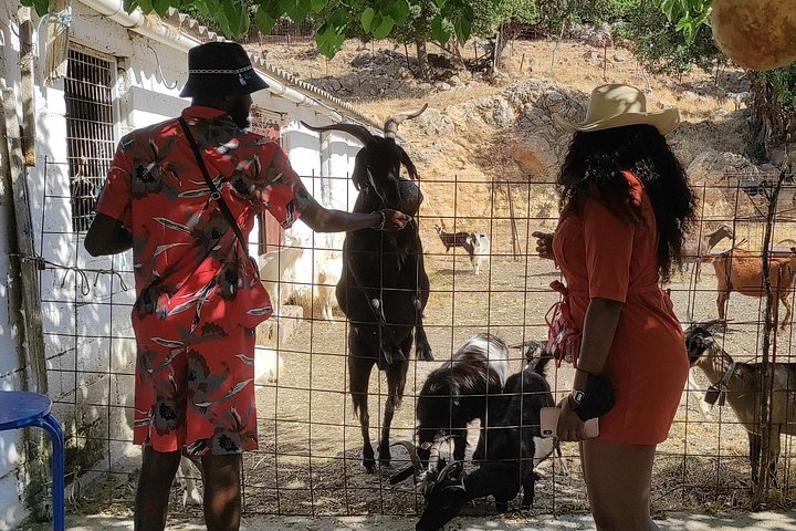 Aventure en jeep safari en Crète avec cours de cuisine, poterie et vues panoramiques sur les montagnes, photo 15 | wizardtrip