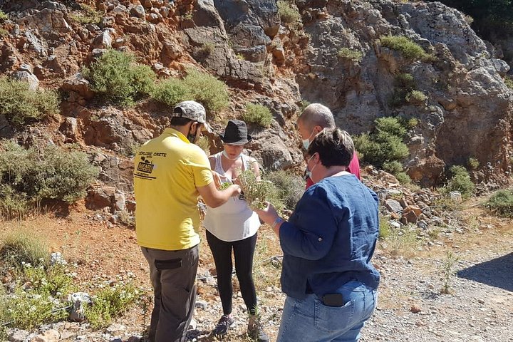 Aventure en jeep safari en Crète avec cours de cuisine, poterie et vues panoramiques sur les montagnes, photo 17 | wizardtrip