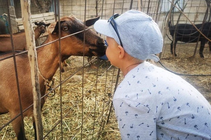 Aventure en jeep safari en Crète avec cours de cuisine, poterie et vues panoramiques sur les montagnes, photo 20 | wizardtrip