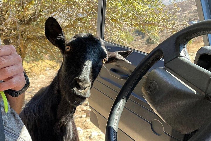 Aventure en jeep safari en Crète avec cours de cuisine, poterie et vues panoramiques sur les montagnes, photo 21 | wizardtrip