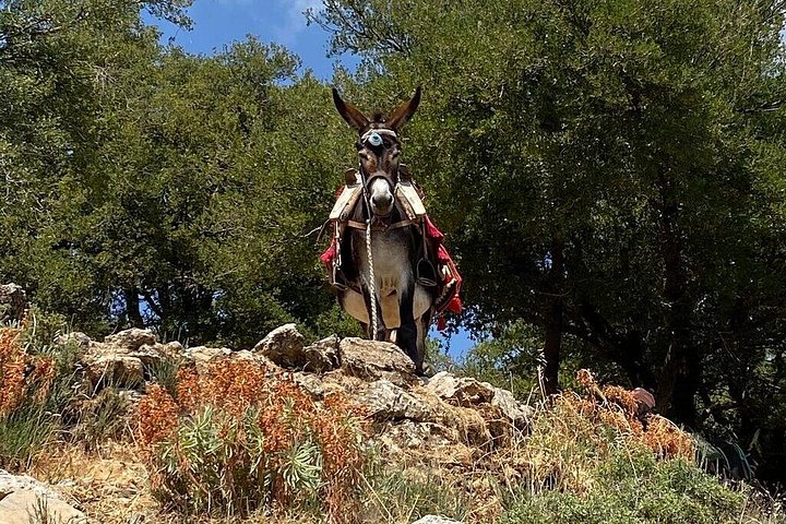 Aventure en jeep safari en Crète avec cours de cuisine, poterie et vues panoramiques sur les montagnes, photo 23 | wizardtrip