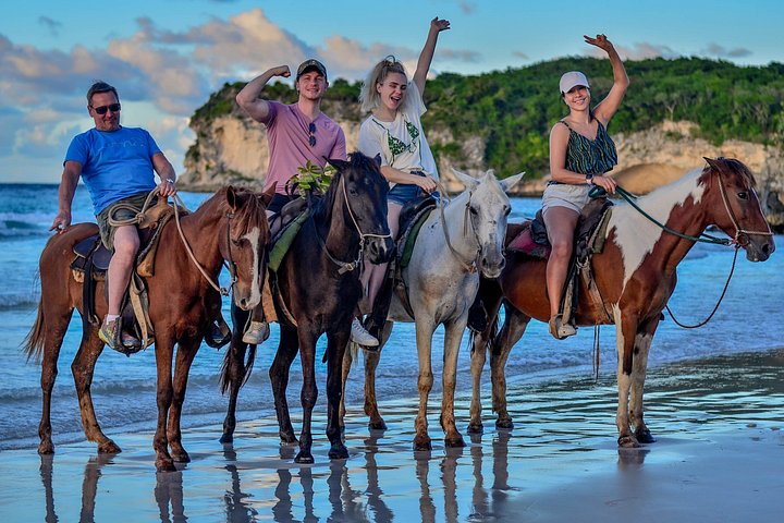Nyd en romantisk ridetur på stranden ved solnedgang i Punta Cana, foto 9 | wizardtrip