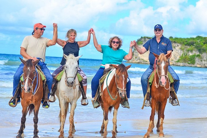 Nyd en romantisk ridetur på stranden ved solnedgang i Punta Cana, foto 11 | wizardtrip