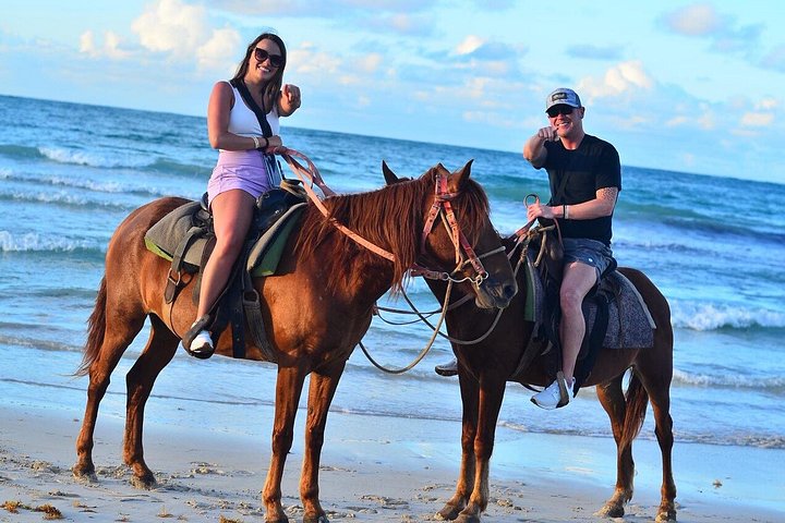 Nyd en romantisk ridetur på stranden ved solnedgang i Punta Cana, foto 12 | wizardtrip