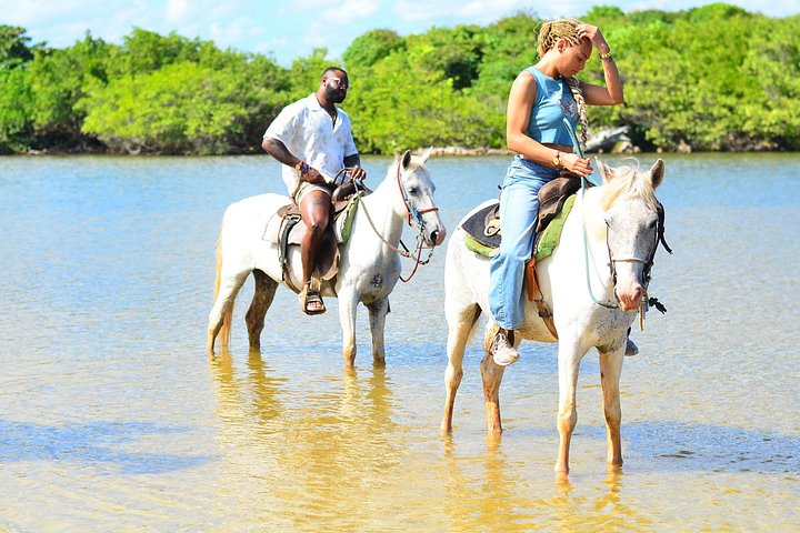 Nyd en romantisk ridetur på stranden ved solnedgang i Punta Cana, foto 13 | wizardtrip