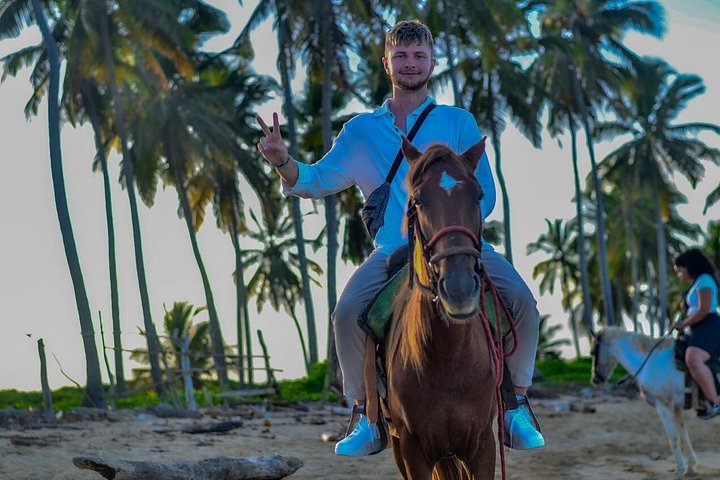 Nyd en romantisk ridetur på stranden ved solnedgang i Punta Cana, foto 17 | wizardtrip