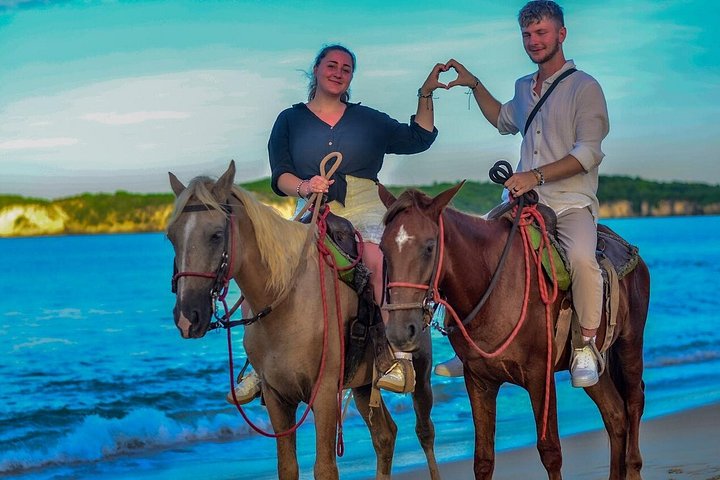 Nyd en romantisk ridetur på stranden ved solnedgang i Punta Cana, foto 18 | wizardtrip