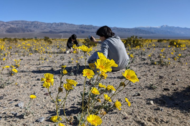 Passeio de um dia em grupo pequeno explorando as paisagens únicas e locais históricos do Parque Nacional Death Valley a partir de Las Vegas, foto 15 | wizardtrip