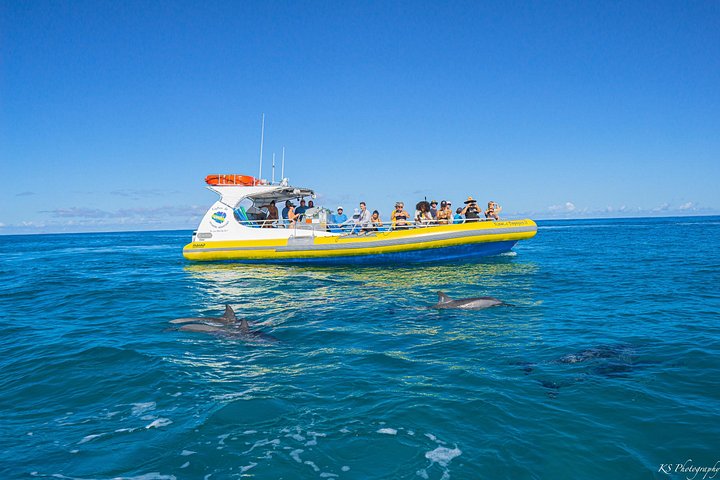 Opplev den fantastiske Na Pali Coast på et spennende raft- og snorkleeventyr på Kauai, foto 15 | wizardtrip