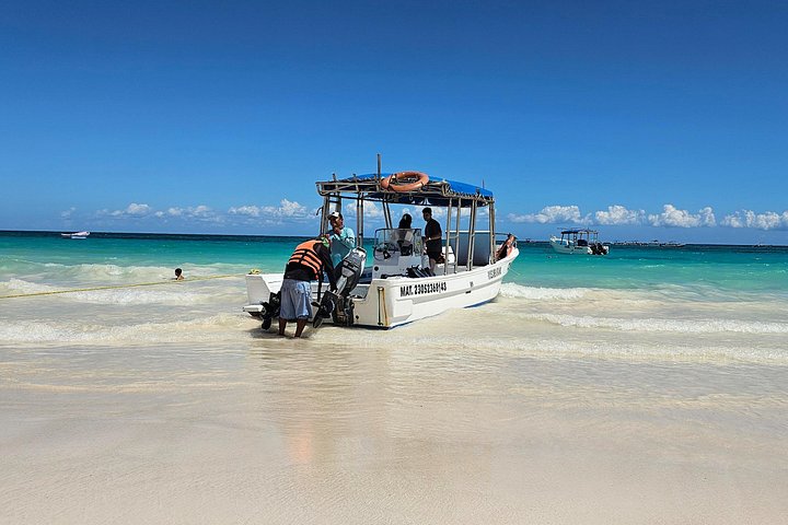 Snorkeling adventure in Tulum, Mexico, featuring sea turtles, coral reefs, and Mayan ruins, photo 6 | wizardtrip