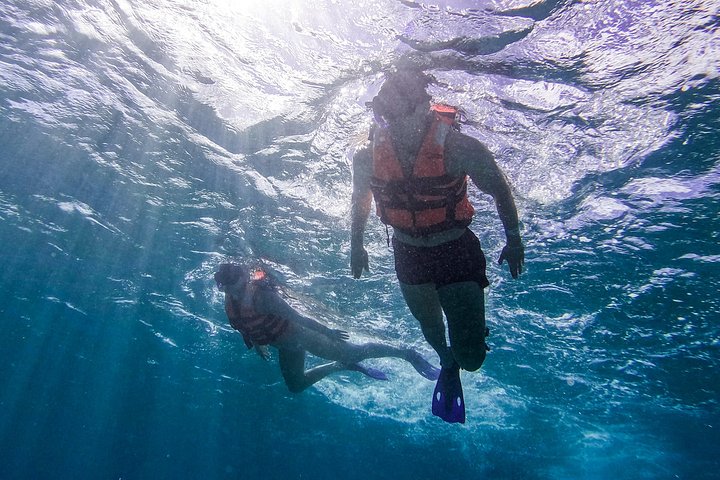 Snorkeling adventure in Tulum, Mexico, featuring sea turtles, coral reefs, and Mayan ruins, photo 14 | wizardtrip