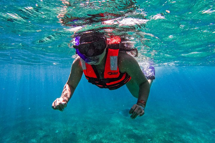 Snorkeling adventure in Tulum, Mexico, featuring sea turtles, coral reefs, and Mayan ruins, photo 16 | wizardtrip