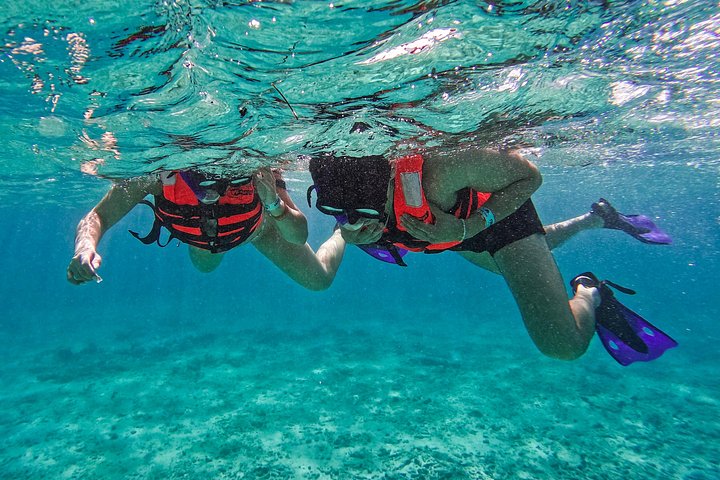 Snorkeling adventure in Tulum, Mexico, featuring sea turtles, coral reefs, and Mayan ruins, photo 17 | wizardtrip