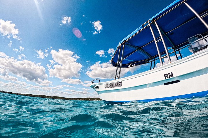Snorkeling adventure in Tulum, Mexico, featuring sea turtles, coral reefs, and Mayan ruins, photo 19 | wizardtrip