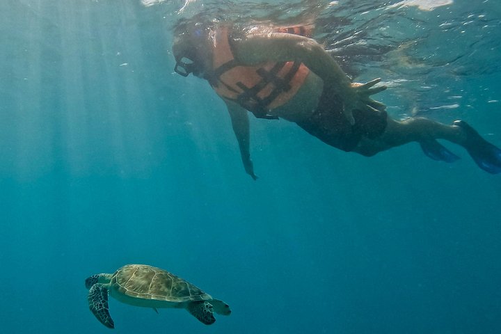 Snorkeling adventure in Tulum, Mexico, featuring sea turtles, coral reefs, and Mayan ruins, photo 20 | wizardtrip