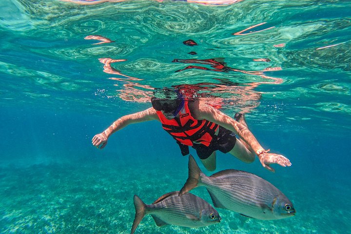 Snorkeling adventure in Tulum, Mexico, featuring sea turtles, coral reefs, and Mayan ruins, photo 21 | wizardtrip