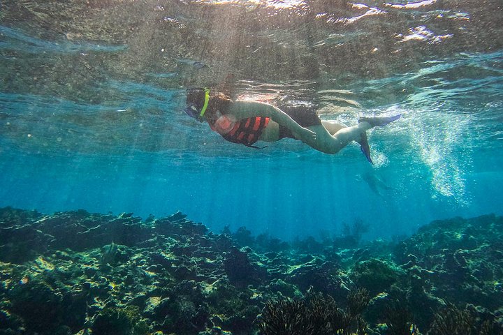 Snorkeling adventure in Tulum, Mexico, featuring sea turtles, coral reefs, and Mayan ruins, photo 34 | wizardtrip