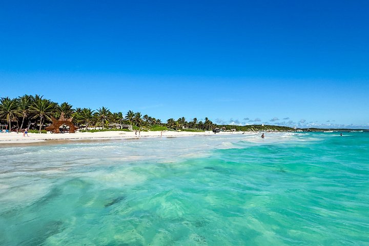 Snorkeling adventure in Tulum, Mexico, featuring sea turtles, coral reefs, and Mayan ruins, photo 35 | wizardtrip