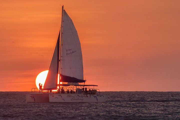 Blue Dolphin - Offentlig katamarantur - Tamarindo | wizardtrip