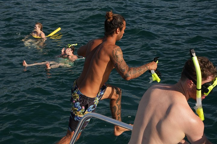 Katamarantur i Tamarindo, Costa Rica, med mulighed for at spotte dyreliv og vandaktiviteter, foto 22 | wizardtrip