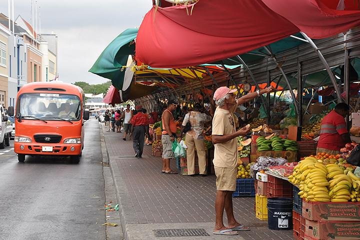 Tour completo dell'isola di Curacao, con siti storici, bellezze naturali e cultura locale, foto 2 | wizardtrip
