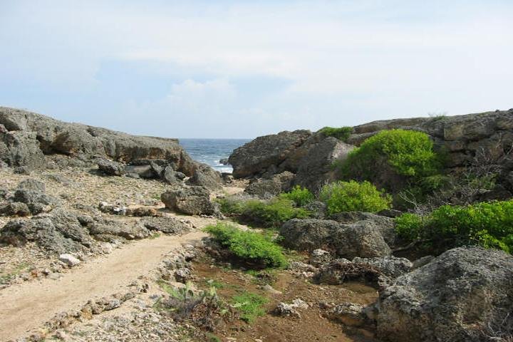 Tour completo dell'isola di Curacao, con siti storici, bellezze naturali e cultura locale, foto 3 | wizardtrip