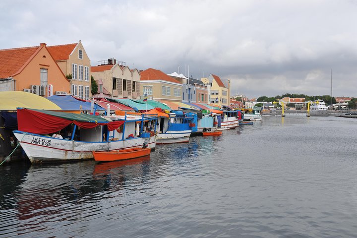 Tour completo dell'isola di Curacao, con siti storici, bellezze naturali e cultura locale, foto 5 | wizardtrip