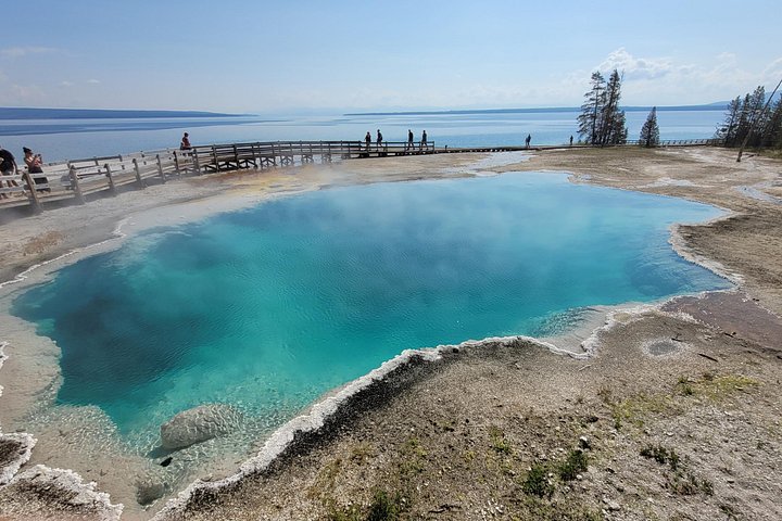 Udforsk Yellowstones naturlige vidundere, inklusive gejsere, kløfter og dyreliv, på en guidet heldagstur, foto 9 | wizardtrip
