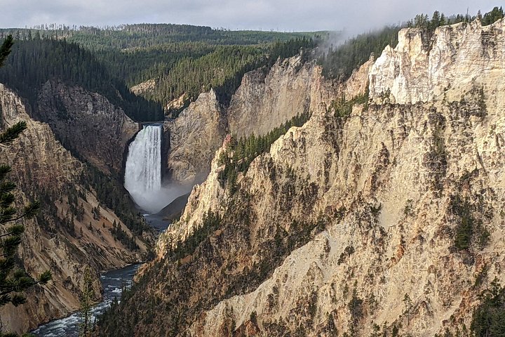 Udforsk Yellowstones naturlige vidundere, inklusive gejsere, kløfter og dyreliv, på en guidet heldagstur, foto 10 | wizardtrip