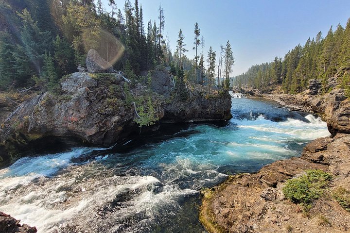 Udforsk Yellowstones naturlige vidundere, inklusive gejsere, kløfter og dyreliv, på en guidet heldagstur, foto 15 | wizardtrip