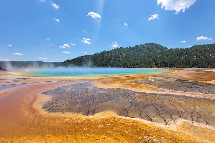 Udforsk Yellowstones naturlige vidundere, inklusive gejsere, kløfter og dyreliv, på en guidet heldagstur, foto 17 | wizardtrip