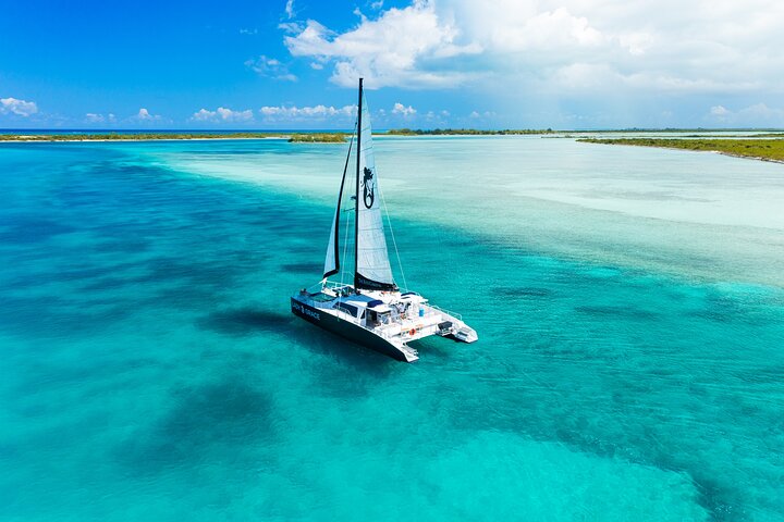 Croisière Plongée Demi-journée Deluxe sur Catamaran de Luxe | wizardtrip