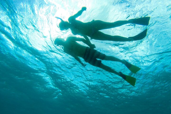 Luxury catamaran snorkeling and beach excursion in Providenciales, Turks & Caicos, photo 7 | wizardtrip