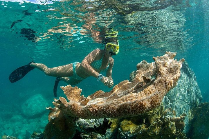 Luxury catamaran snorkeling and beach excursion in Providenciales, Turks & Caicos, photo 8 | wizardtrip