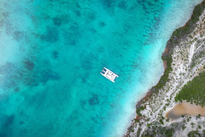 Luxury catamaran snorkeling and beach excursion in Providenciales, Turks & Caicos, photo 20 | wizardtrip