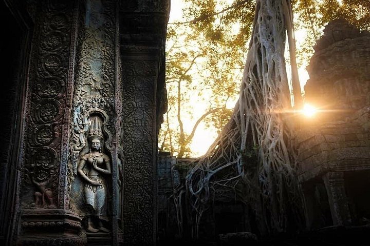 Erkunden Sie die prächtigen Tempel von Angkor Wat, einschließlich Sonnenaufgangs- und Sonnenuntergangsblicken, mit einer geführten Tour in Siem Reap, Foto 9 | wizardtrip